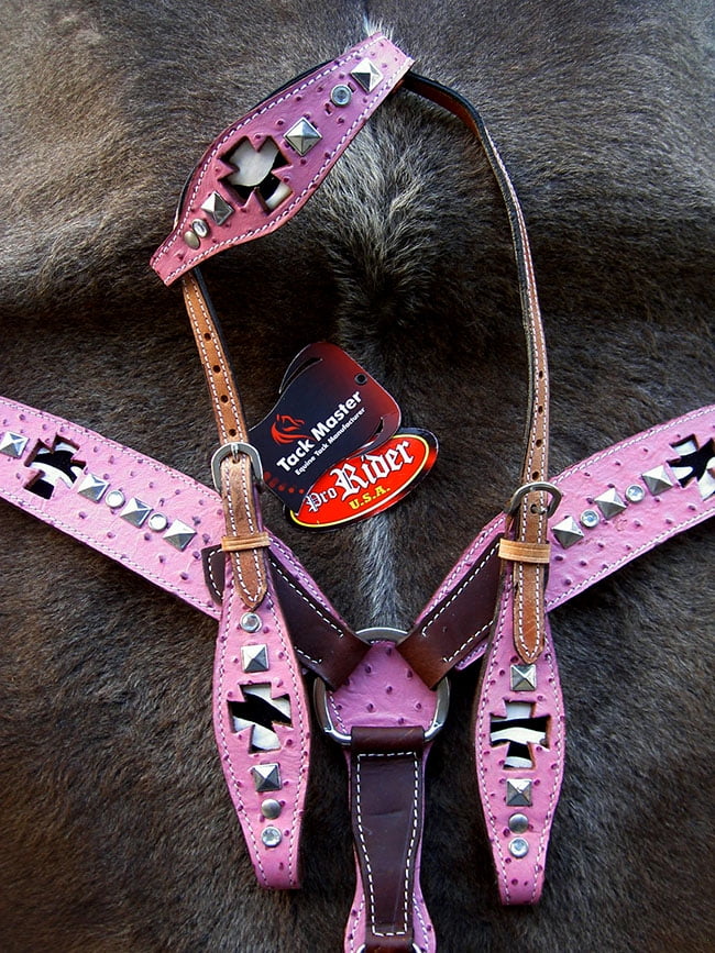 pink breast collar Minka with a huge cock